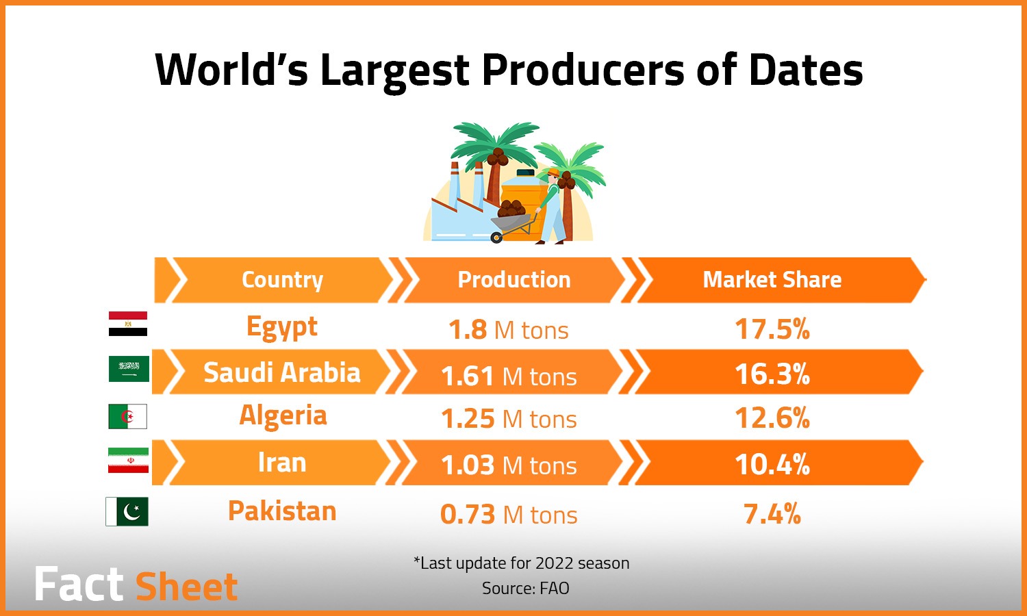 Egypt: A Global Leader in Date Production and Export

